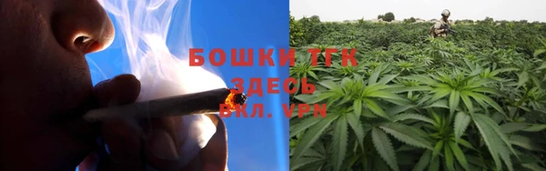 гашик Козловка