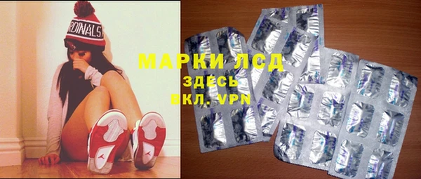 сатива Краснослободск