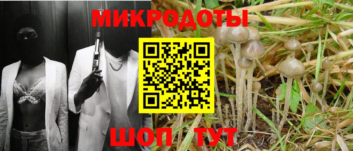 Псилоцибиновые грибы MAGIC MUSHROOMS  Вход с VPN  Тула 