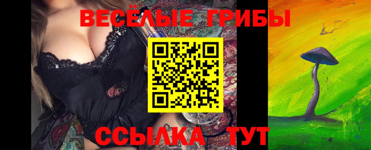 Галлюциногенные грибы Psilocybine cubensis Тула